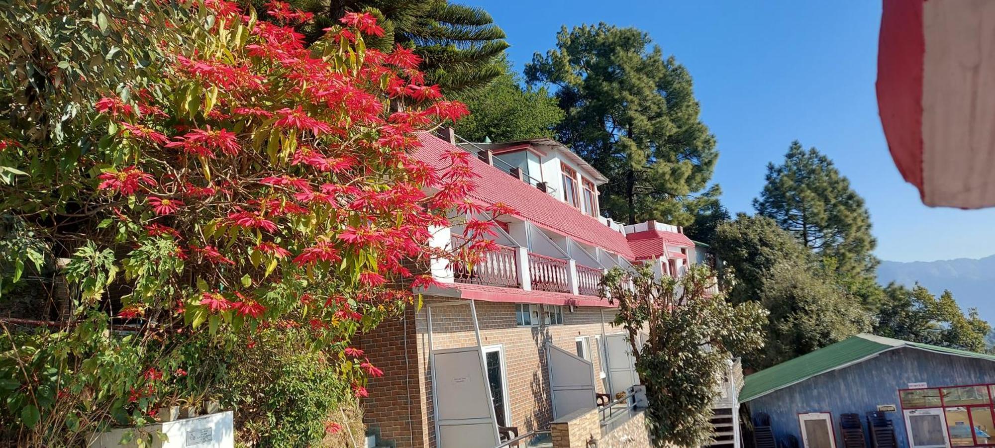 Blue Pine Resort Лансдаун Экстерьер фото